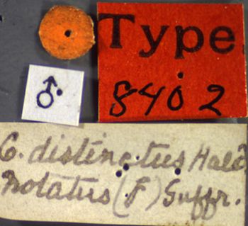 Media type: image;   Entomology 8402 Aspect: labels